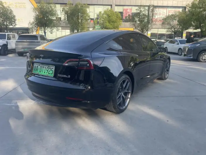 Model 3 2021 Model Performance High performance All-wheel drive version 3D3/3D1 – фото 6