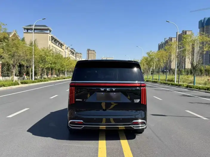 Wey Gaoshan P HEV 2023 Model 4WD Ultimate Edition – фото 5
