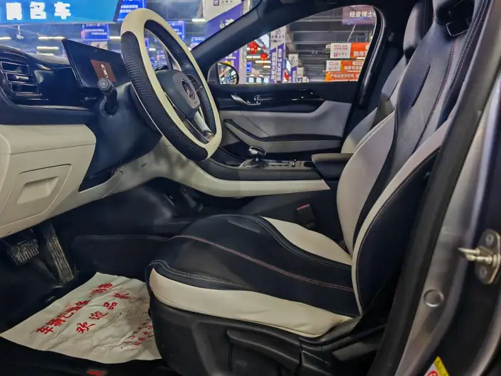 BYD Qin PLUS DM 2023 Model DM-i Champion Edition 55KM Leading Model – фото 9