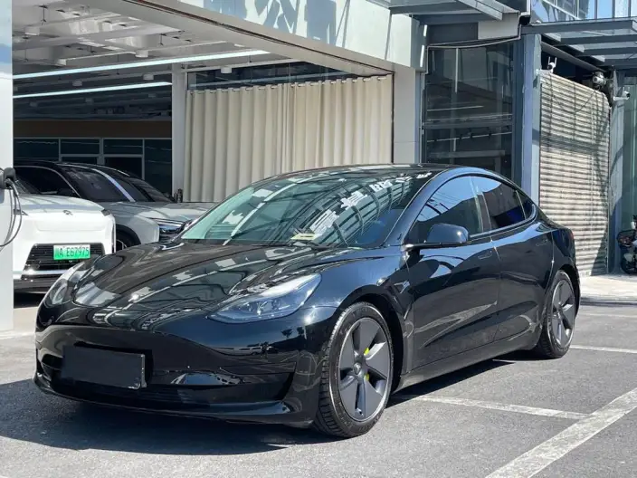 Model 3 2021 Model Standard Battery Life Rear Drive L Class Edition 3D1