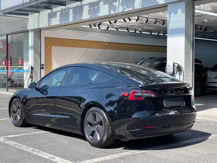 Model 3 2021 Model Standard Battery Life Rear Drive L Class Edition 3D1 – фото 5