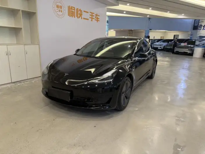 Model 3 2020 Model Standard Battery Life Rear Drive L Class Edition