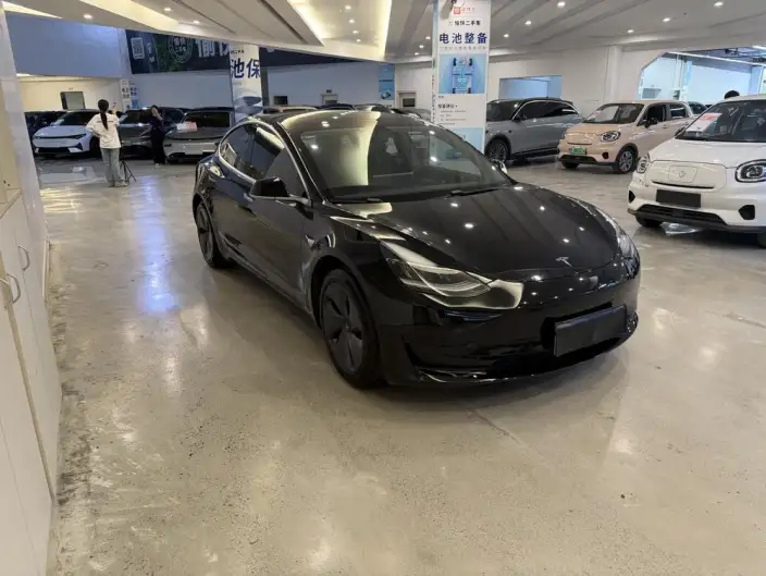 Model 3 2020 Model Standard Battery Life Rear Drive L Class Edition