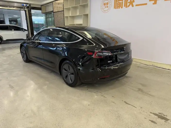 Model 3 2020 Model Standard Battery Life Rear Drive L Class Edition – фото 5