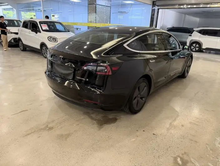 Model 3 2020 Model Standard Battery Life Rear Drive L Class Edition – фото 7