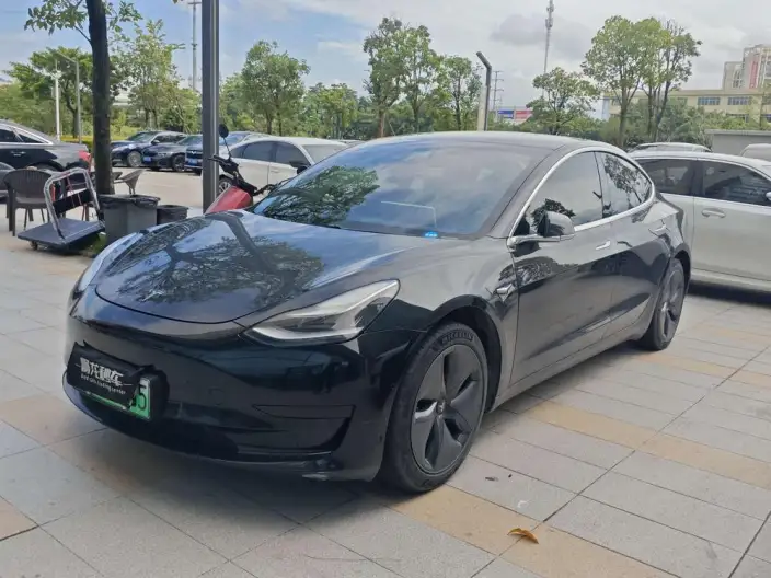 Model 3 2020 Model Standard Battery Life Rear Drive L Class Edition