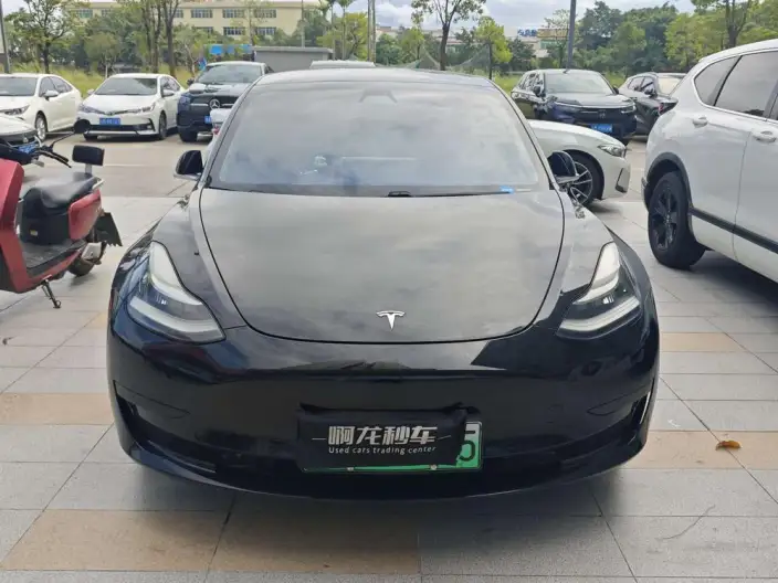 Model 3 2020 Model Standard Battery Life Rear Drive L Class Edition