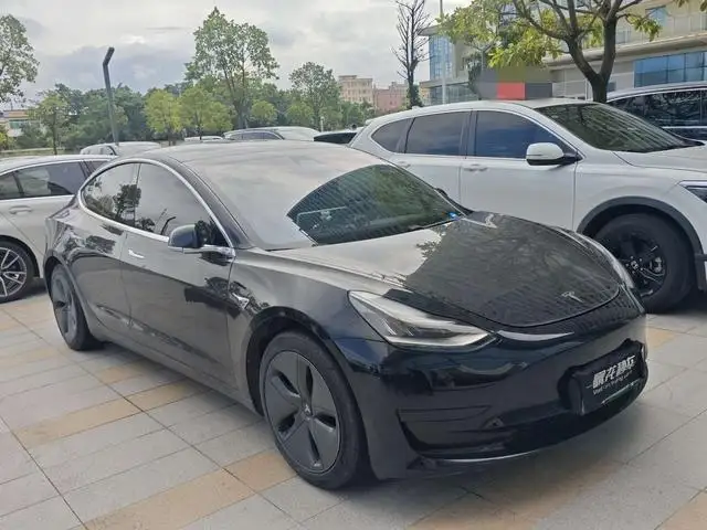 Model 3 2020 Model Standard Battery Life Rear Drive L Class Edition