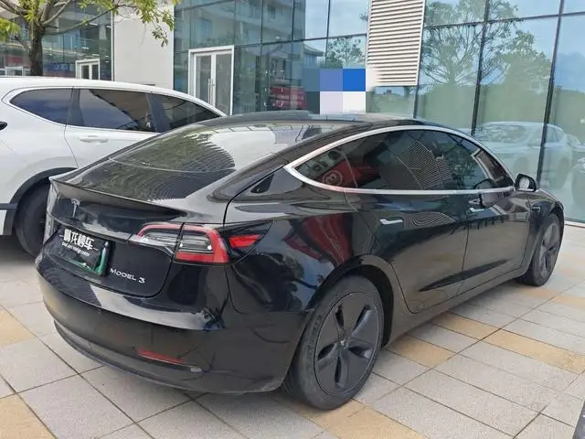 Model 3 2020 Model Standard Battery Life Rear Drive L Class Edition – фото 6