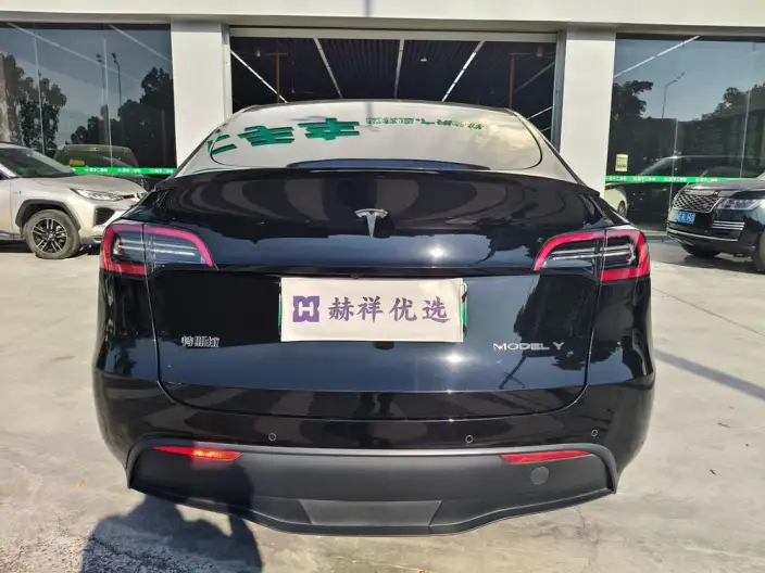 Model Y 2022 Model Long Battery Life Pro All-wheel drive version – фото 6