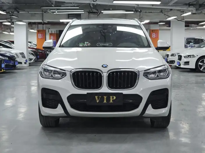 BMW X3 2020 Model xDrive25i M Sports Set – фото 2