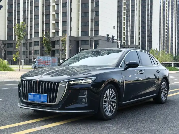 Hongqi H5 2023 Model 2.0T Automatic Flag Enjoy Edition