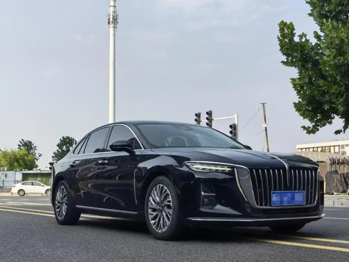Hongqi H5 2023 Model 2.0T Automatic Flag Enjoy Edition