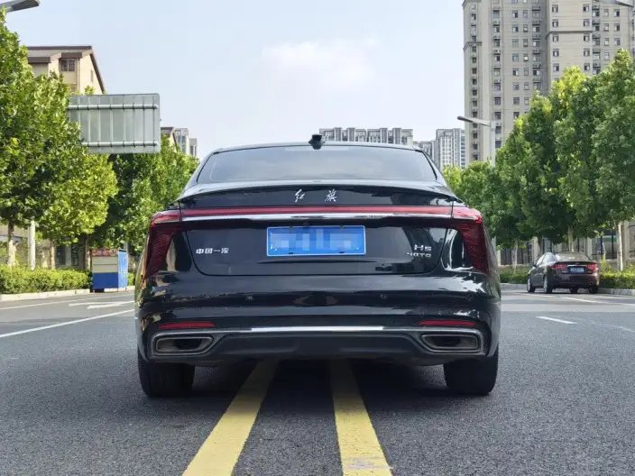 Hongqi H5 2023 Model 2.0T Automatic Flag Enjoy Edition – фото 5