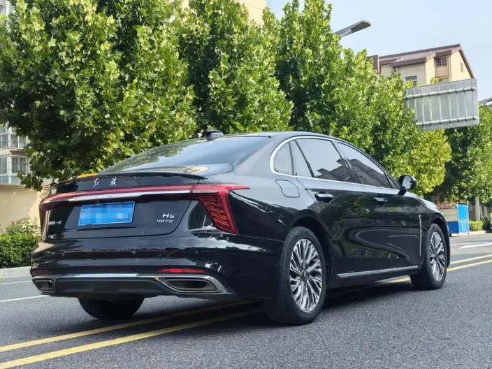 Hongqi H5 2023 Model 2.0T Automatic Flag Enjoy Edition – фото 6