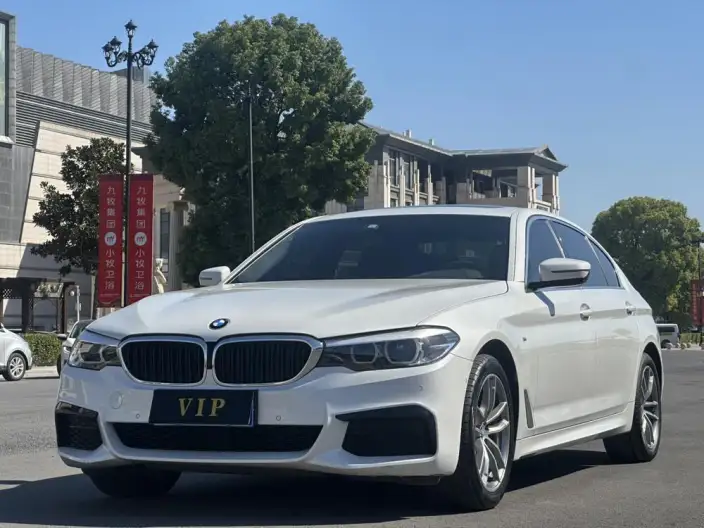 BMW 5 Series 2020 Model 525Li M Sports Set – фото 1