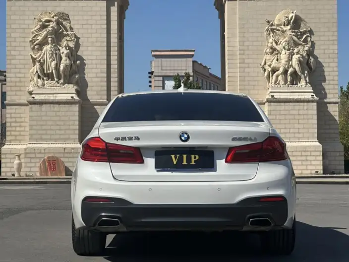 BMW 5 Series 2020 Model 525Li M Sports Set – фото 5