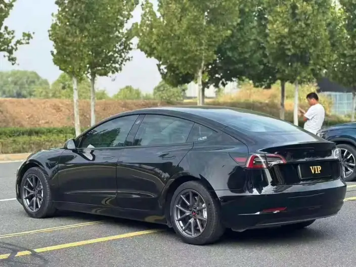 Model 3 2021 Model Standard Battery Life Rear Drive L Class Edition 3D6