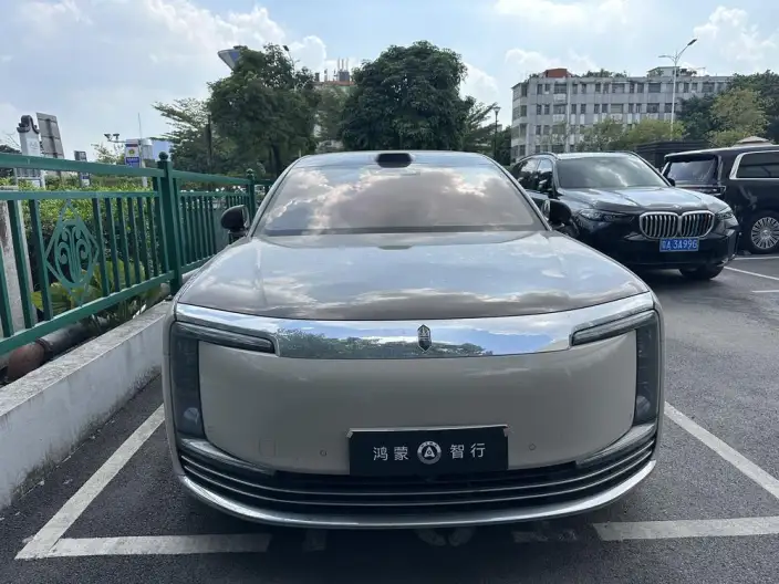 Zunjie S800 2025 Model Extended Range Star Edition Executive Edition 4 seat – фото 2