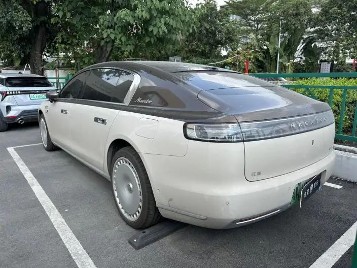 Zunjie S800 2025 Model Extended Range Star Edition Executive Edition 4 seat – фото 4
