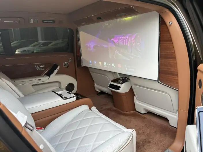 Zunjie S800 2025 Model Extended Range Star Edition Executive Edition 4 seat – фото 6
