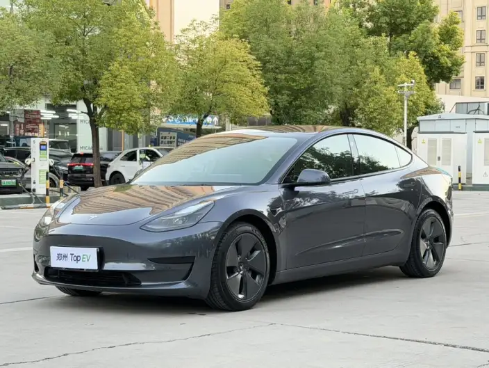 Model 3 2021 Model Standard Battery Life Rear Drive L Class Edition