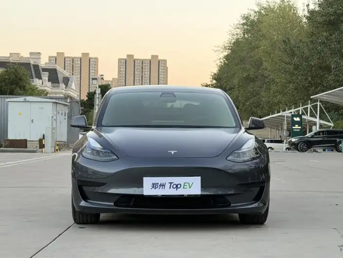 Model 3 2021 Model Standard Battery Life Rear Drive L Class Edition