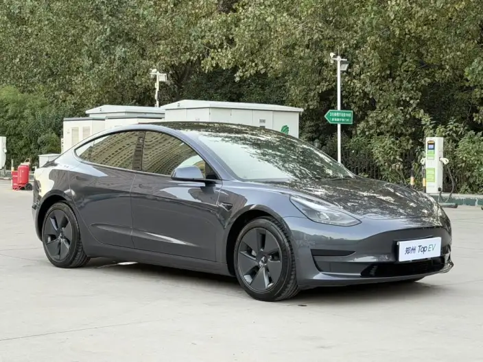 Model 3 2021 Model Standard Battery Life Rear Drive L Class Edition