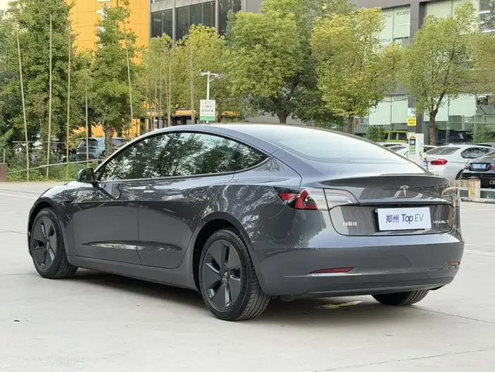 Model 3 2021 Model Standard Battery Life Rear Drive L Class Edition