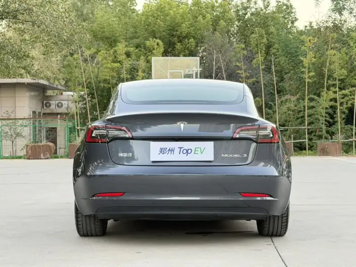 Model 3 2021 Model Standard Battery Life Rear Drive L Class Edition – фото 5