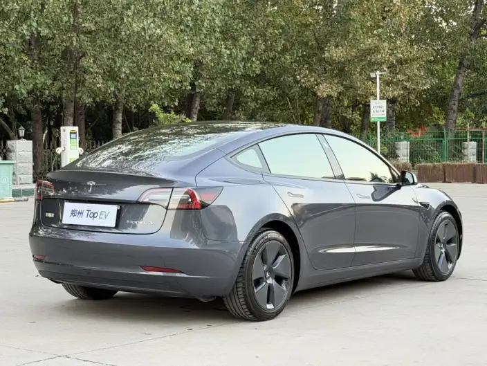 Model 3 2021 Model Standard Battery Life Rear Drive L Class Edition – фото 6