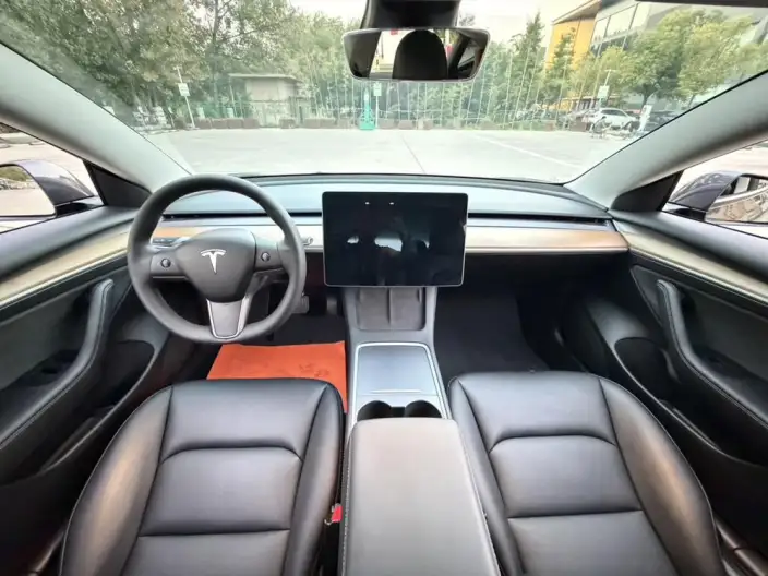 Model 3 2021 Model Standard Battery Life Rear Drive L Class Edition – фото 8