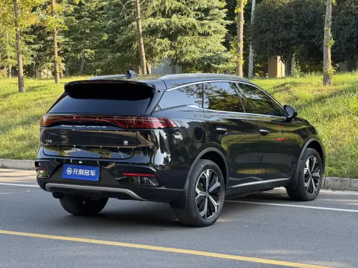 BYD Tang EV 2023 Model Champion Edition 600KM Exclusive Model – фото 7