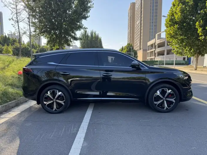 BYD Tang EV 2023 Model Champion Edition 600KM Exclusive Model – фото 8