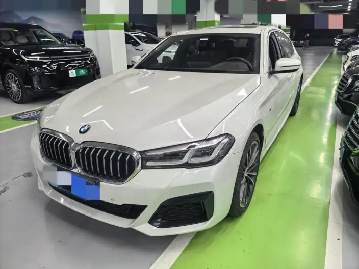 BMW 5 Series 2020 Model 530Li Leading Model M Sports Set – фото 1
