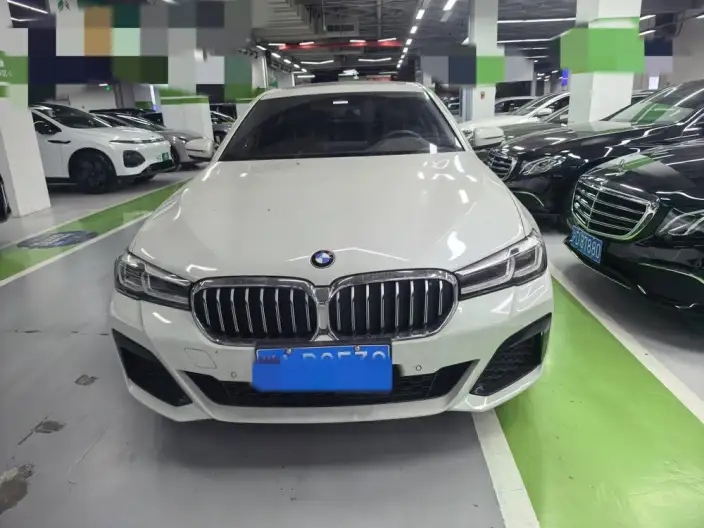 BMW 5 Series 2020 Model 530Li Leading Model M Sports Set – фото 2