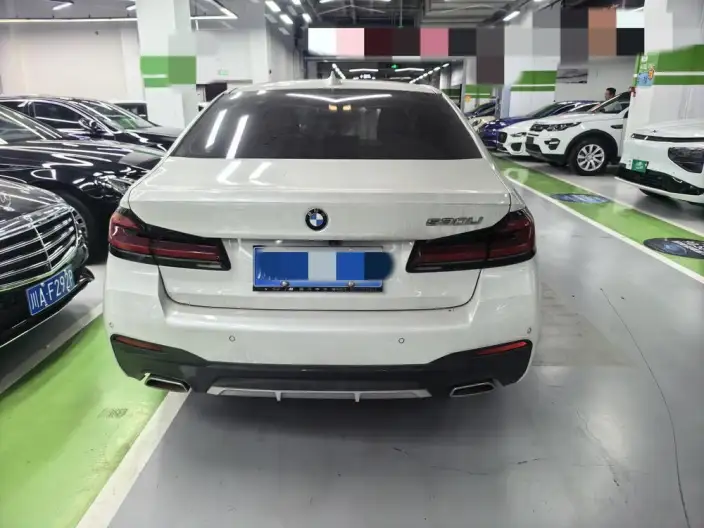 BMW 5 Series 2020 Model 530Li Leading Model M Sports Set – фото 5