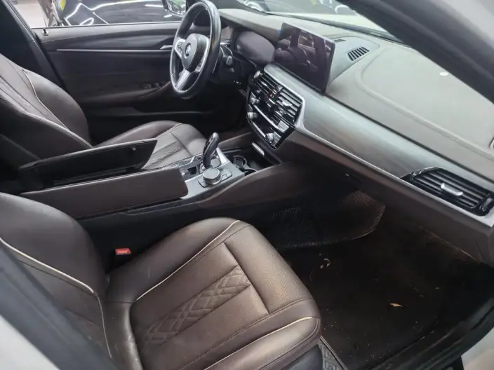 BMW 5 Series 2020 Model 530Li Leading Model M Sports Set – фото 7