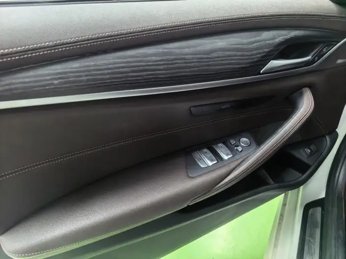BMW 5 Series 2020 Model 530Li Leading Model M Sports Set – фото 10