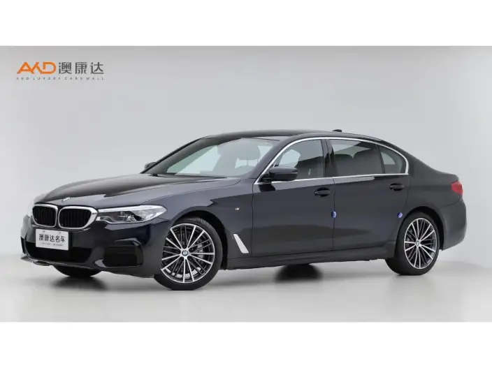 BMW 5 Series 2020 Model 530Li Exclusive Model M Sports Set – фото 1