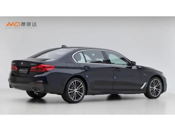 BMW 5 Series 2020 Model 530Li Exclusive Model M Sports Set – фото 4