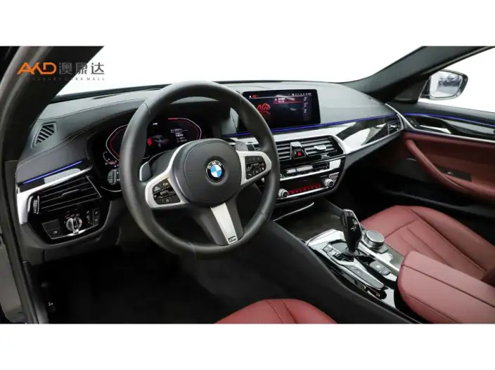 BMW 5 Series 2020 Model 530Li Exclusive Model M Sports Set – фото 7