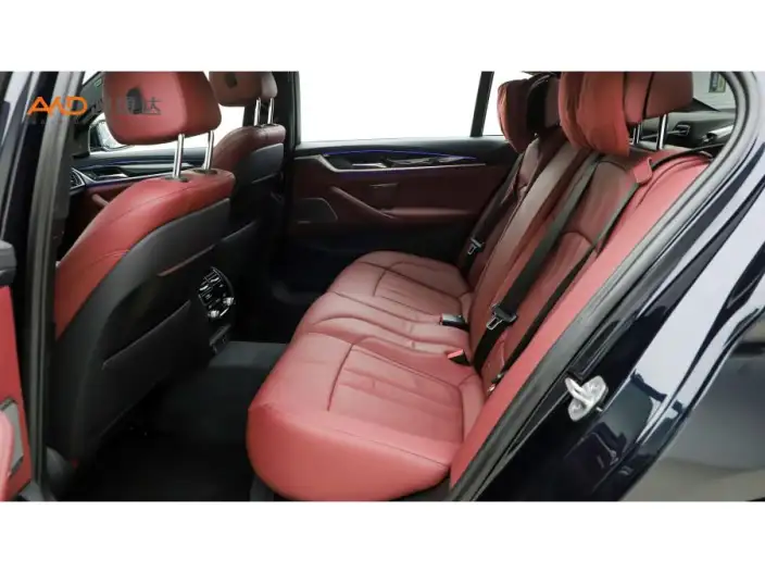 BMW 5 Series 2020 Model 530Li Exclusive Model M Sports Set – фото 8