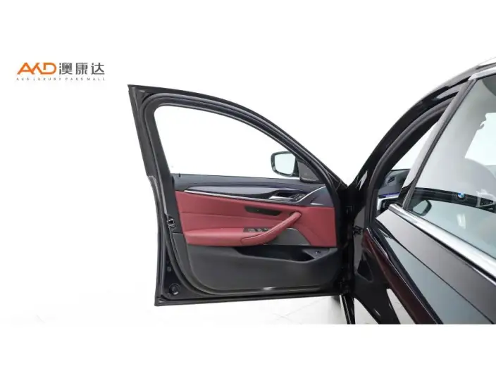 BMW 5 Series 2020 Model 530Li Exclusive Model M Sports Set – фото 9