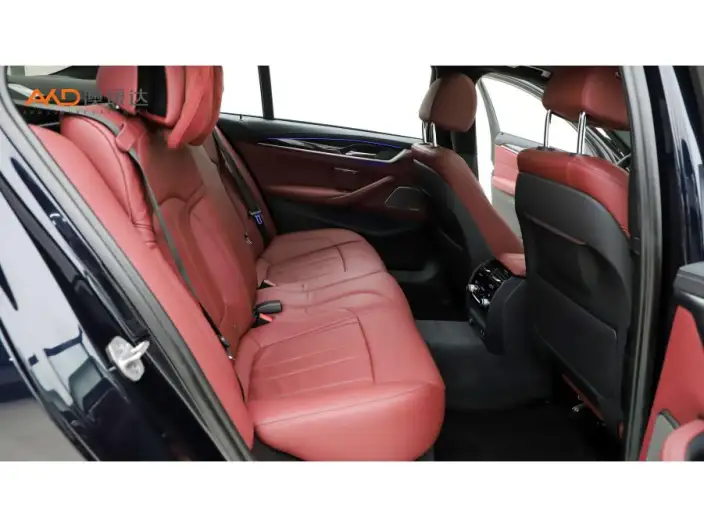 BMW 5 Series 2020 Model 530Li Exclusive Model M Sports Set – фото 10