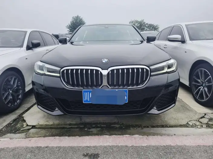 BMW 5 Series 2021 Model 525Li M Sports Set – фото 2