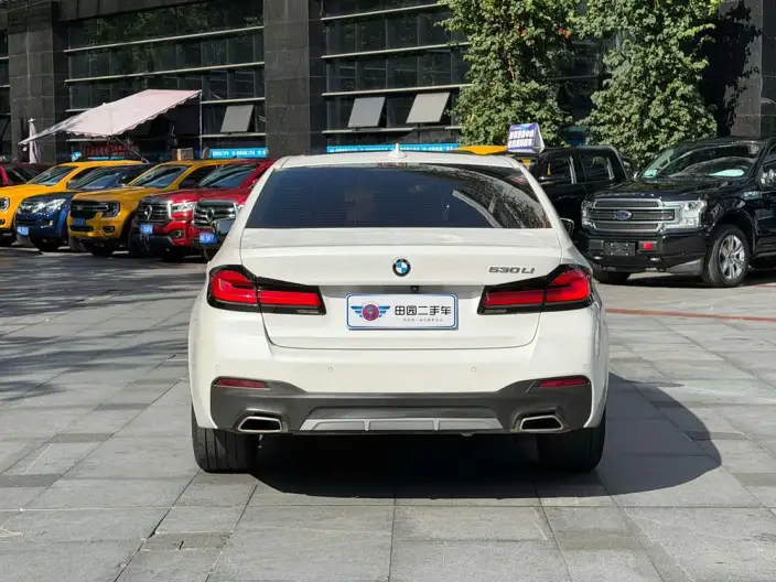 BMW 5 Series 2023 Model 530Li Leading Model M Sports Set – фото 5