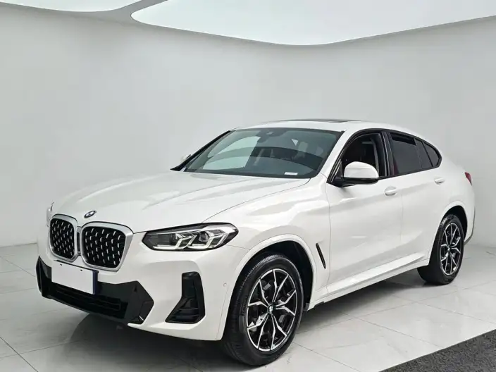 BMW X4 2022 Model xDrive 25i M Sports Set – фото 1