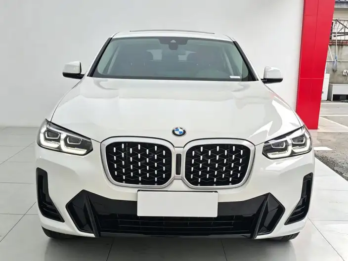BMW X4 2022 Model xDrive 25i M Sports Set – фото 2