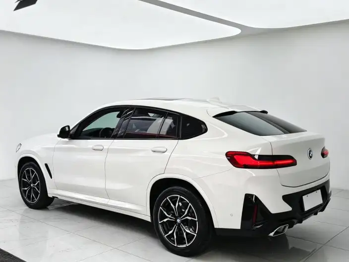 BMW X4 2022 Model xDrive 25i M Sports Set – фото 5